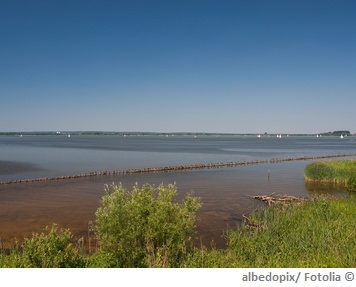 Dümmer See Wasserqualität