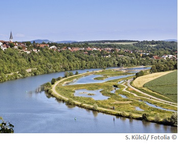 Neckar Wasserqualität