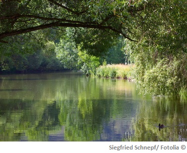 Altmühl Wasserqualiät