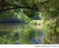 Wasserqualität der Altmühl