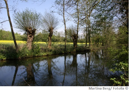 Lippe Wasserqualitaet