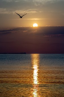 schwarzes Meer Wasserqualitaet