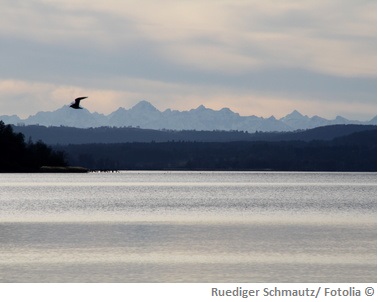 Ammersee Wasserqualität